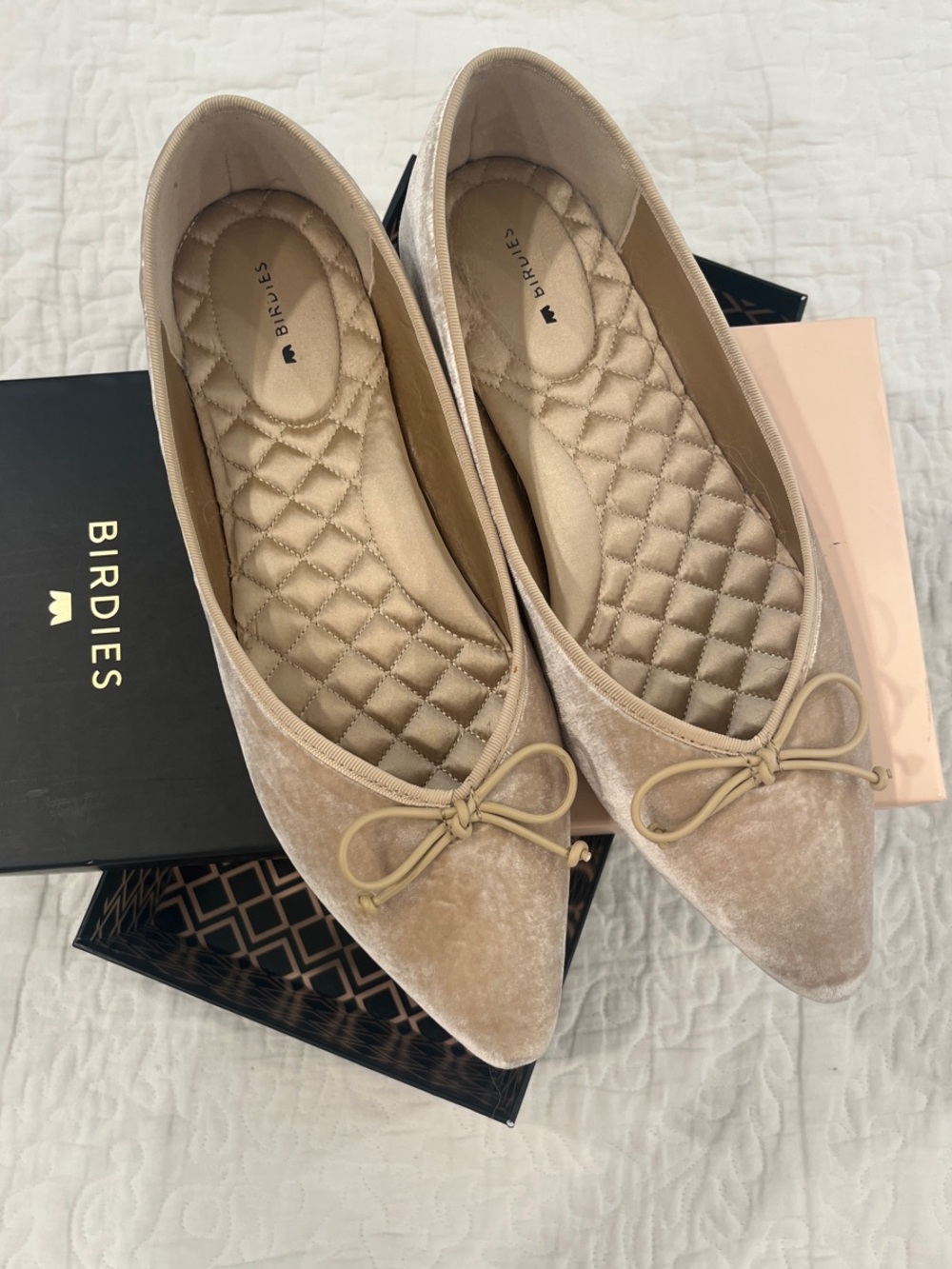 Birdies Champagne Velvet Pointed Flats with Bow Accent and quilted satin lining